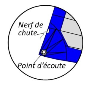 Le nerf de chute